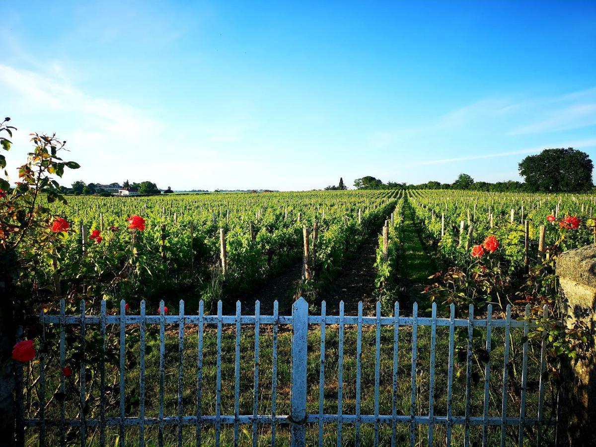 La Maison Des Vignes Saint Emilion المظهر الخارجي الصورة